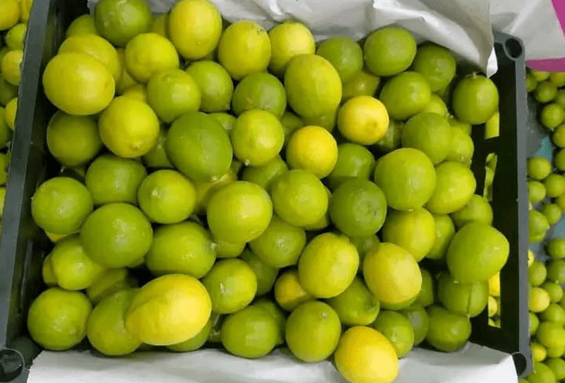 Baladi lemon