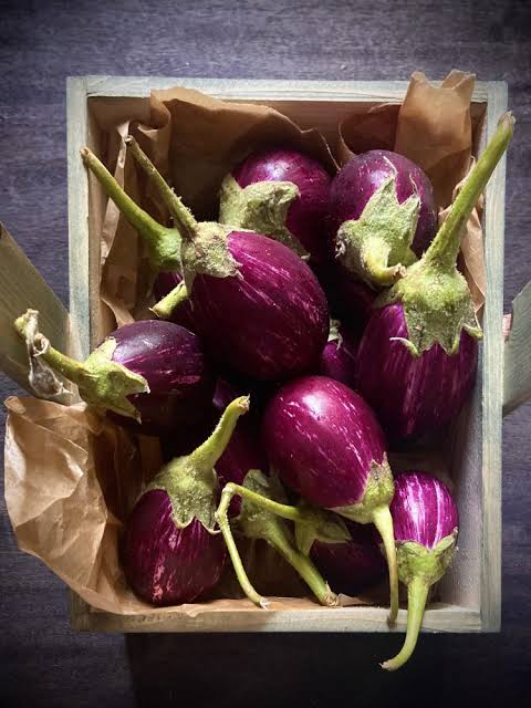 Makdous eggplant
