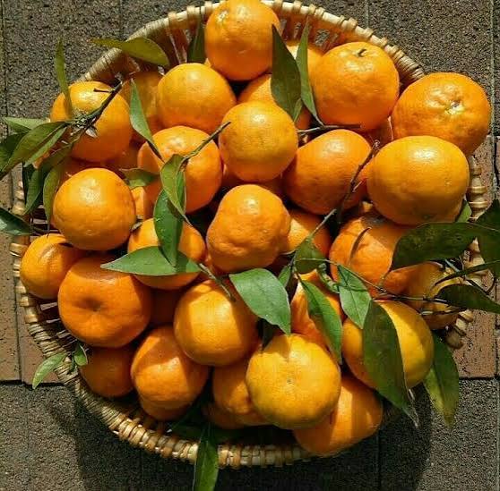 Afandi mandarin