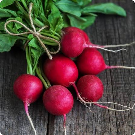 Radish