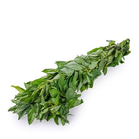 Molokhia